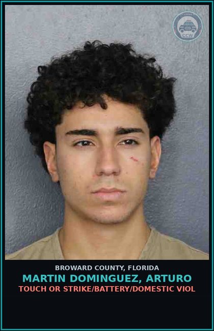 CCW arrest card for MARTIN DOMINGUEZ, ARTURO in Broward County: TOUCH OR STRIKE/BATTERY/DOMESTIC VIOL