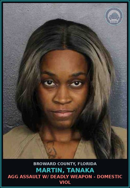 CCW arrest card for MARTIN, TANAKA in Broward County: AGG ASSAULT W/ DEADLY WEAPON - DOMESTIC VIOL