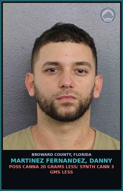 CCW arrest card for MARTINEZ FERNANDEZ, DANNY in Broward County: POSS Canna 20 GRAMS LESS/ SYNTH CANN 3 GMS LESS