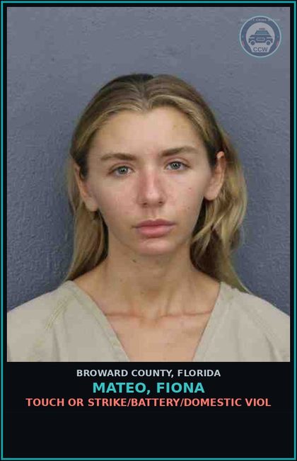 CCW arrest card for MATEO, FIONA in Broward County: TOUCH OR STRIKE/BATTERY/DOMESTIC VIOL