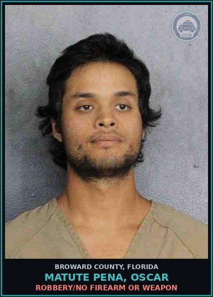 CCW arrest card for MATUTE PENA, OSCAR in Broward County: TOUCH OR STRIKE/BATTERY/DOMESTIC VIOL