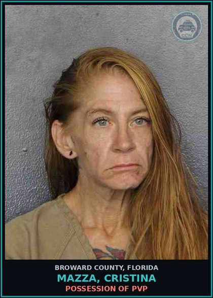 CCW arrest card for MAZZA, CRISTINA in Broward County: LOITERING OR PROWLING