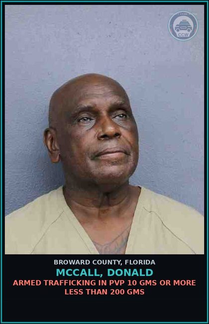 CCW arrest card for MCCALL, DONALD in Broward County: ARMED TRAFFICKING IN PVP 10 GMS OR MORE LESS THAN 200 GMS