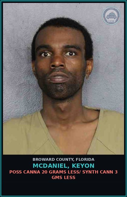 CCW arrest card for MCDANIEL, KEYON in Broward County: POSS Canna 20 GRAMS LESS/ SYNTH CANN 3 GMS LESS