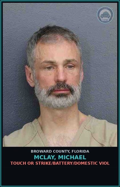 CCW arrest card for MCLAY, MICHAEL in Broward County: TOUCH OR STRIKE/BATTERY/DOMESTIC VIOL