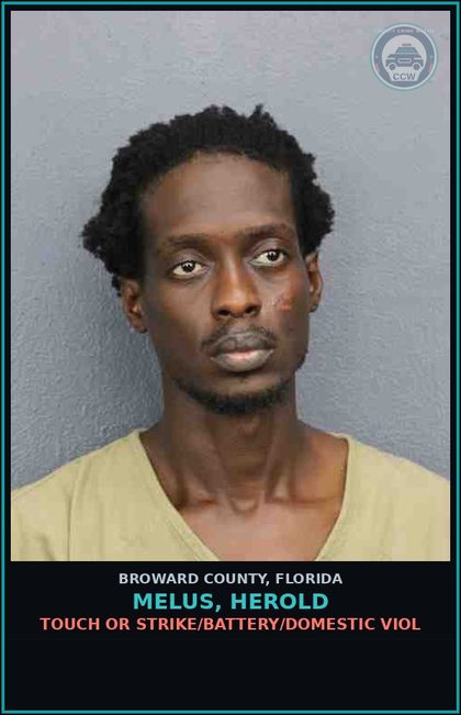 CCW arrest card for MELUS, HEROLD in Broward County: TOUCH OR STRIKE/BATTERY/DOMESTIC VIOL