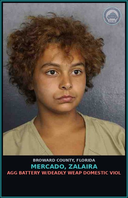 CCW arrest card for MERCADO, ZALAIRA in Broward County: CRIMINAL MISCHIEF OVER 1000 DOLLARS