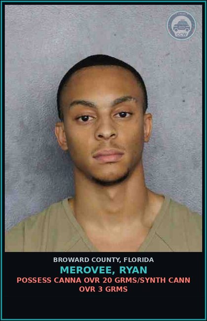 CCW arrest card for MEROVEE, RYAN in Broward County: POSSESS Canna OVR 20 GRMS/SYNTH CANN OVR 3 GRMS