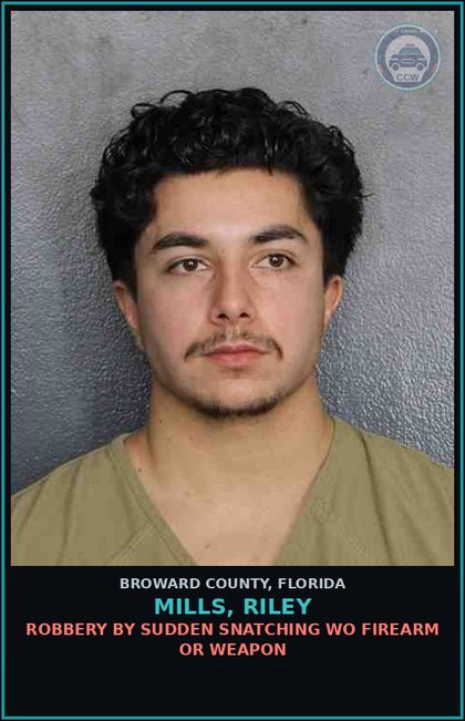 CCW arrest card for MILLS, RILEY in Broward County: TOUCH OR STRIKE/BATTERY/DOMESTIC VIOL
