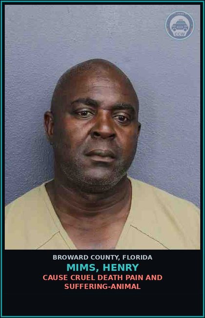 CCW arrest card for MIMS, HENRY in Broward County: CAUSE CRUEL DEATH PAIN AND SUFFERING-ANIMAL