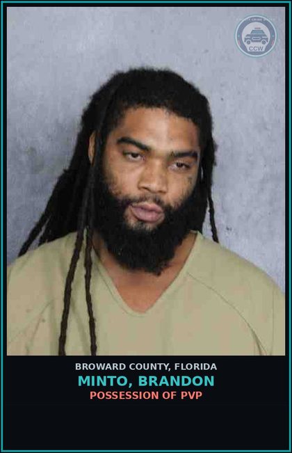 CCW arrest card for MINTO, BRANDON in Broward County: POSSESSION OF PVP