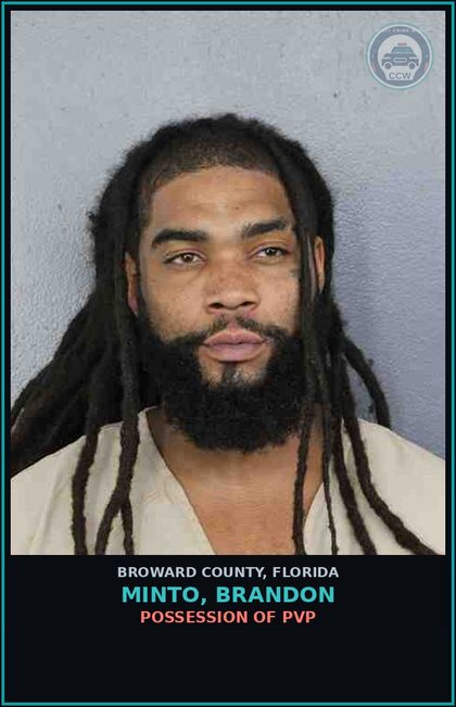 CCW arrest card for MINTO, BRANDON in Broward County: FLEE ATTEMPT TO ELUDE LAW ENFORCEMENT