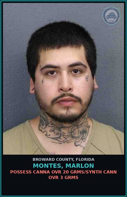 CCW arrest card for MONTES, MARLON in Broward County: POSSESS Canna OVR 20 GRMS/SYNTH CANN OVR 3 GRMS