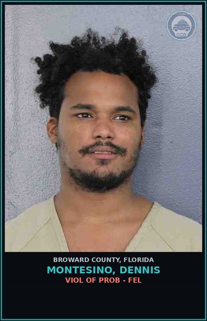 CCW arrest card for MONTESINO, DENNIS in Broward County: VIOL OF PROB - FEL