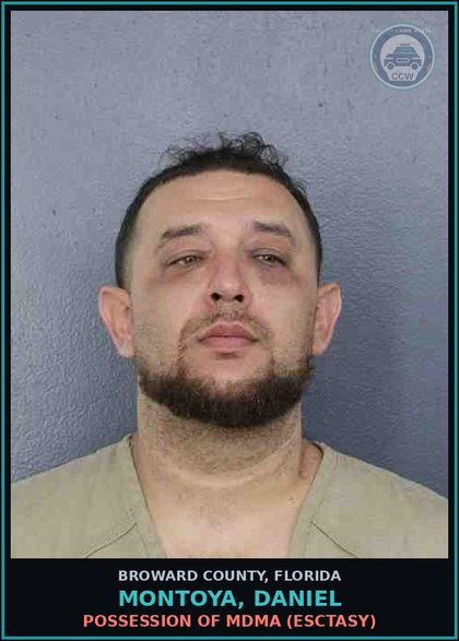 CCW arrest card for MONTOYA, DANIEL in Broward County: POSSESSION OF MDMA (ESCTASY)