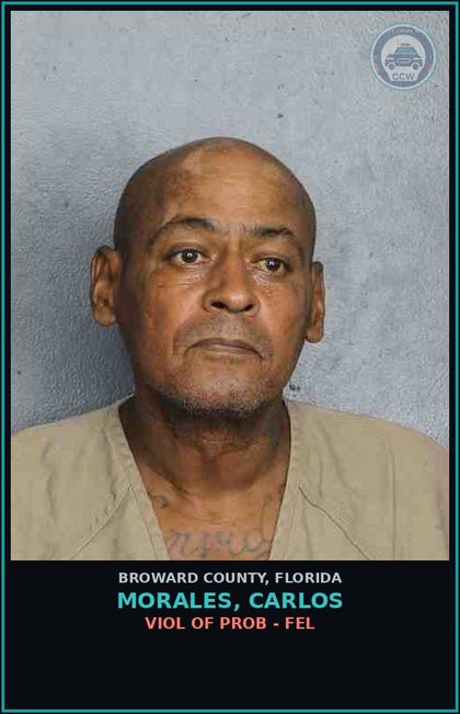 CCW arrest card for MORALES, CARLOS in Broward County: VIOL OF PROB - FEL