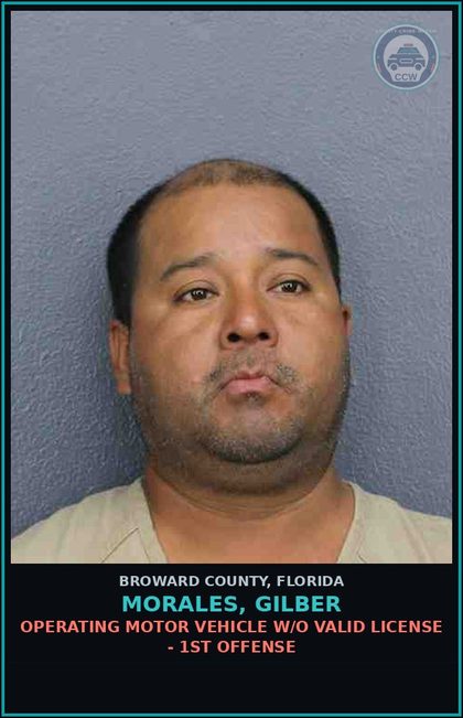 CCW arrest card for MORALES, GILBER in Broward County: OPERATING MOTOR VEHICLE W/O VALID LICENSE - 1ST OFFENSE