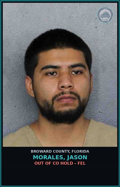 CCW arrest card for MORALES, JASON in Broward County: OUT OF CO HOLD - FEL
