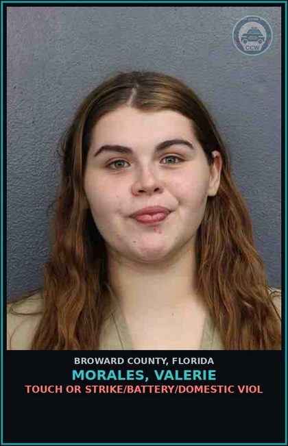 CCW arrest card for MORALES, VALERIE in Broward County: TOUCH OR STRIKE/BATTERY/DOMESTIC VIOL