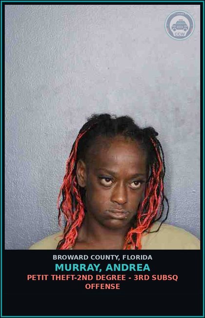 CCW arrest card for MURRAY, ANDREA in Broward County: COURT ORDER
