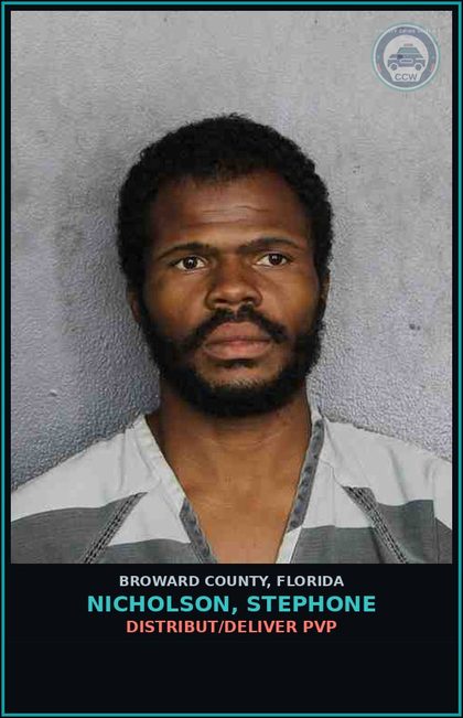 CCW arrest card for NICHOLSON, STEPHONE in Broward County: DISTRIBUT/DELIVER PVP