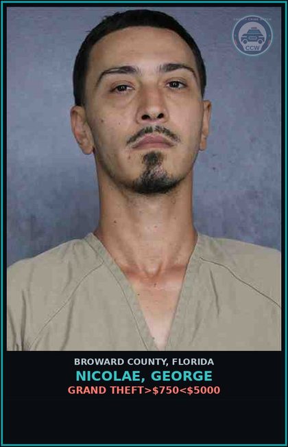 CCW arrest card for NICOLAE, GEORGE in Broward County: GRAND THEFT>$750<$5000