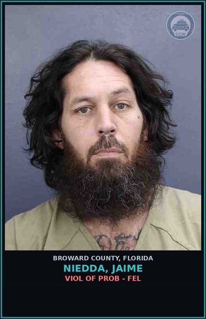 CCW arrest card for NIEDDA, JAIME in Broward County: VIOL OF PROB - FEL