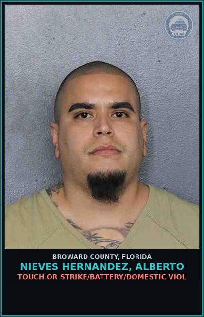 CCW arrest card for NIEVES HERNANDEZ, ALBERTO in Broward County: TOUCH OR STRIKE/BATTERY/DOMESTIC VIOL