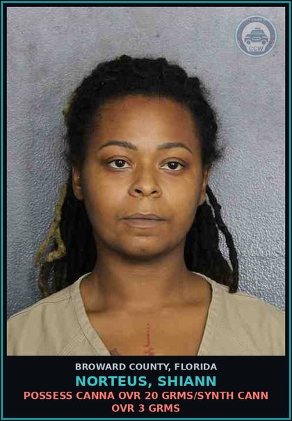 CCW arrest card for NORTEUS, SHIANN in Broward County: POSSESS Canna OVR 20 GRMS/SYNTH CANN OVR 3 GRMS