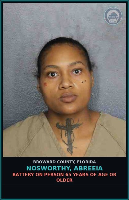 CCW arrest card for NOSWORTHY, ABREEIA in Broward County: BATTERY ON PERSON 65 YEARS OF AGE OR OLDER