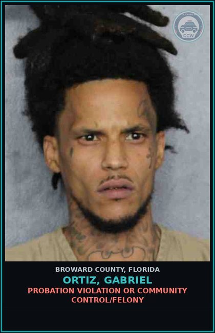 CCW arrest card for ORTIZ, GABRIEL in Broward County: POSS Canna 20 GRAMS LESS/ SYNTH CANN 3 GMS LESS