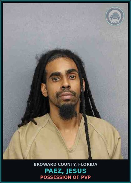 CCW arrest card for PAEZ, JESUS in Broward County: POSSESSION OF PVP