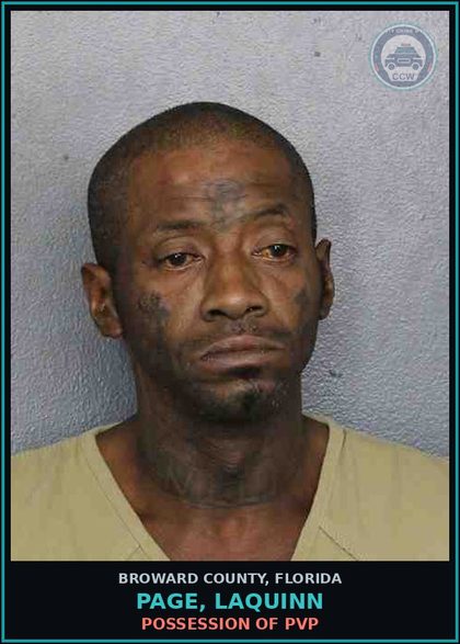 CCW arrest card for PAGE, LAQUINN in Broward County: POSSESSION OF PVP