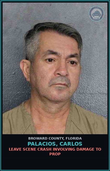 CCW arrest card for PALACIOS, CARLOS in Broward County: LEAVE SCENE CRASH INVOLVING DAMAGE TO PROP