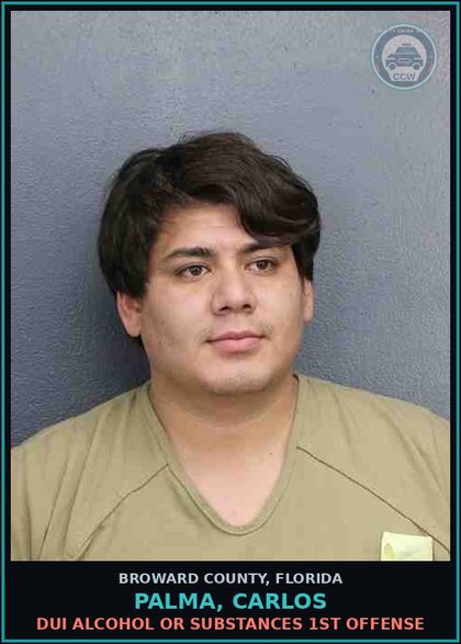 CCW arrest card for PALMA, CARLOS in Broward County: DUI ALCOHOL OR DRUGS  1ST OFFENSE