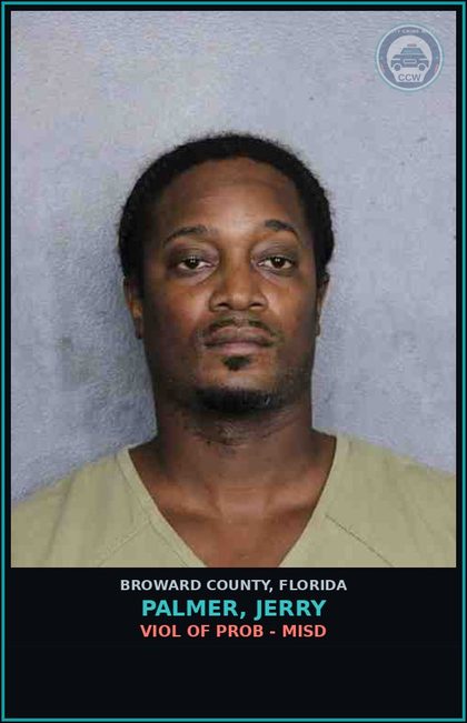 CCW arrest card for PALMER, JERRY in Broward County: VIOL OF PROB - MISD