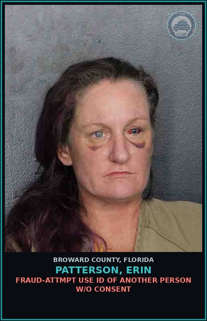CCW arrest card for PATTERSON, ERIN in Broward County: PETIT THEFT-2ND DEGREE - 1ST OFFENSE