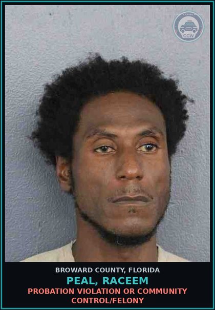 CCW arrest card for PEAL, RACEEM in Broward County: RETAIL THEFT $750+ COORDINATE WITH OTHERS