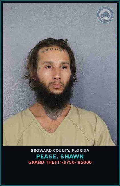 CCW arrest card for PEASE, SHAWN in Broward County: GRAND THEFT>$750<$5000