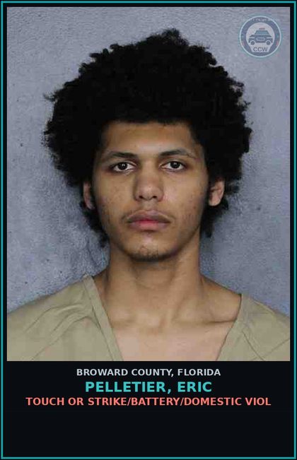 CCW arrest card for PELLETIER, ERIC in Broward County: TOUCH OR STRIKE/BATTERY/DOMESTIC VIOL