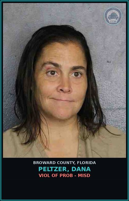 CCW arrest card for PELTZER, DANA in Broward County: VIOL OF PROB - MISD