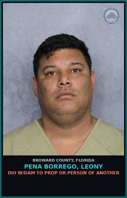 CCW arrest card for PENA BORREGO, LEONY in Broward County: DUI W/DAM TO PROP OR PERSON OF ANOTHER