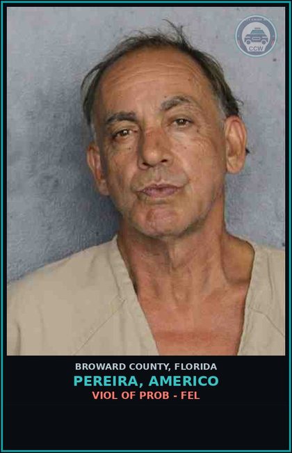 CCW arrest card for PEREIRA, AMERICO in Broward County: VIOL OF PROB - FEL