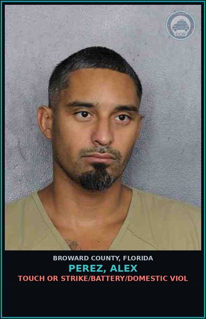 CCW arrest card for PEREZ, ALEX in Broward County: TOUCH OR STRIKE/BATTERY/DOMESTIC VIOL