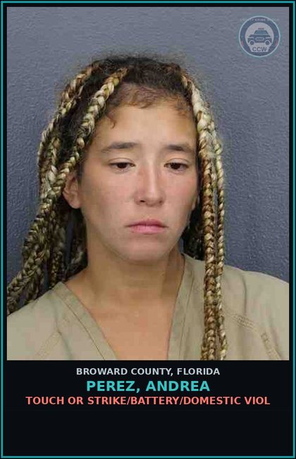 CCW arrest card for PEREZ, ANDREA in Broward County: TOUCH OR STRIKE/BATTERY/DOMESTIC VIOL