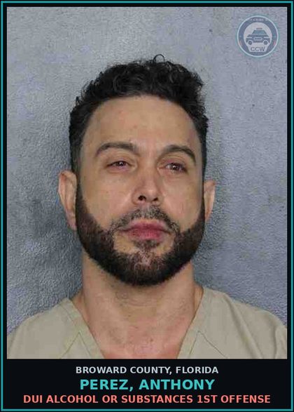 CCW arrest card for PEREZ, ANTHONY in Broward County: DUI ALCOHOL OR DRUGS  1ST OFFENSE
