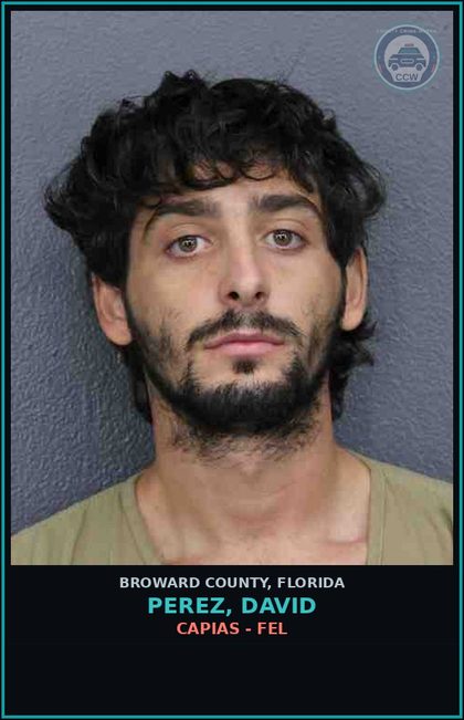 CCW arrest card for PEREZ, DAVID in Broward County: CAPIAS - FEL