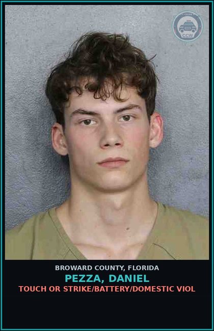 CCW arrest card for PEZZA, DANIEL in Broward County: TOUCH OR STRIKE/BATTERY/DOMESTIC VIOL