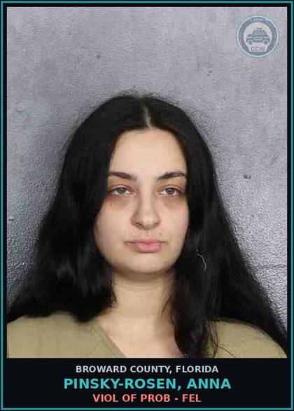CCW arrest card for PINSKY-ROSEN, ANNA in Broward County: VIOL OF PROB - FEL