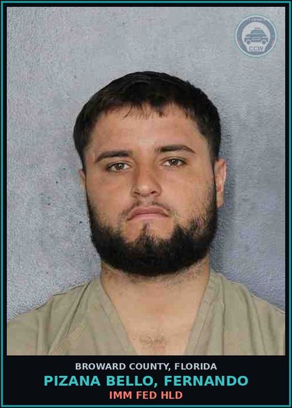 CCW arrest card for PIZANA BELLO, FERNANDO in Broward County: IMM FED HLD